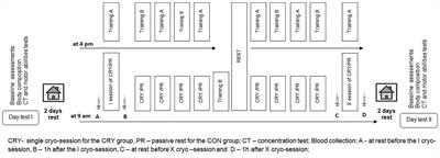 A 2-Week Specific Volleyball Training Supported by the Whole Body Cryostimulation Protocol Induced an Increase of Growth Factors and Counteracted Deterioration of Physical Performance